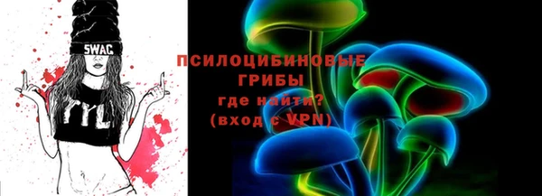 гашик Елизово