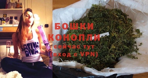 гашик Елизово