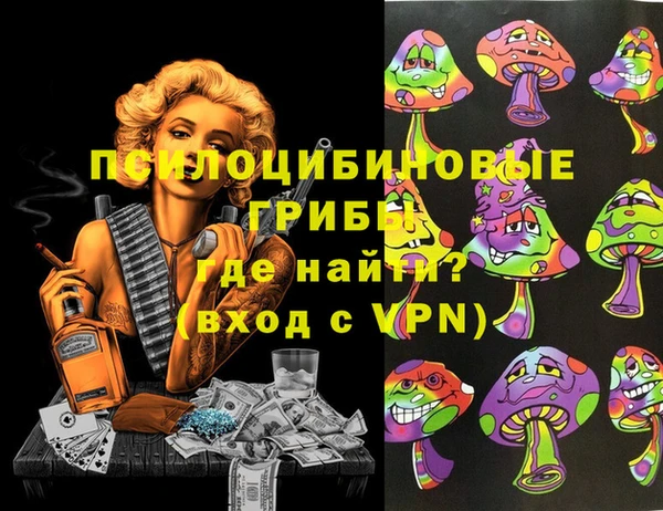 гашик Елизово