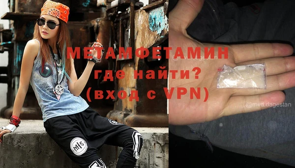 шишки Заволжье