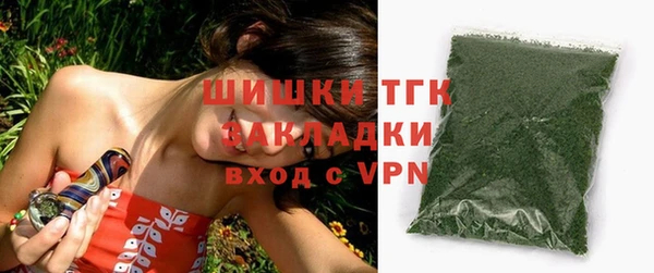 гашик Елизово