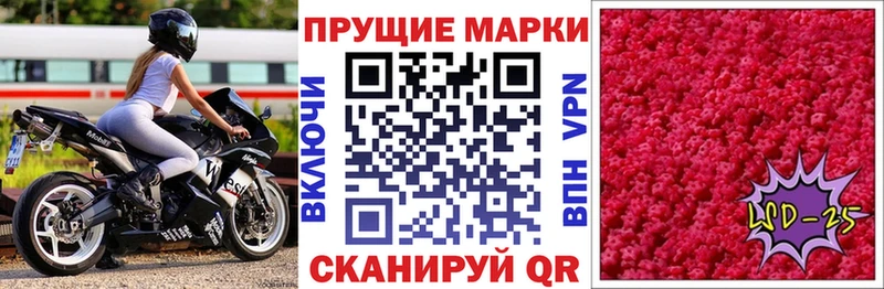 blacksprut ссылка  Северская  Марки NBOMe 1,5мг 